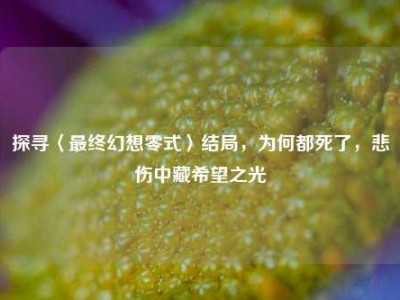 探寻〈最终幻想零式〉结局，为何都死了，悲伤中藏希望之光