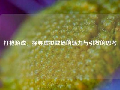 打枪游戏，探寻虚拟战场的魅力与引发的思考