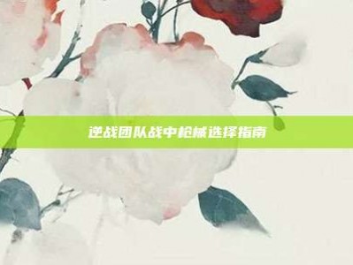 逆战团队战中枪械选择指南