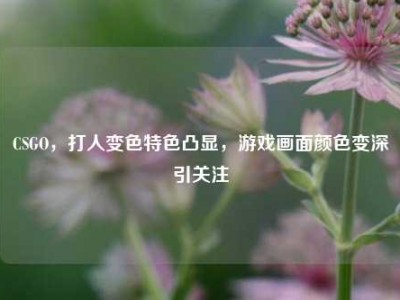 CSGO，打人变色特色凸显，游戏画面颜色变深引关注