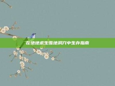 在绝地求生雪地洞穴中生存指南