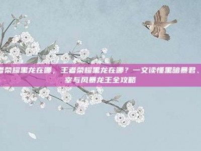 王者荣耀黑龙在哪，王者荣耀黑龙在哪？一文读懂黑暗暴君、主宰与风暴龙王全攻略