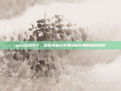 wow压缩饼干，超值美味与实用功能并重的探险指南