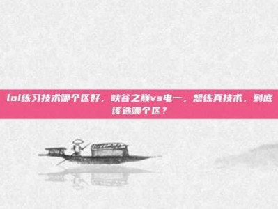 lol练习技术哪个区好，峡谷之巅vs电一，想练真技术，到底该选哪个区？