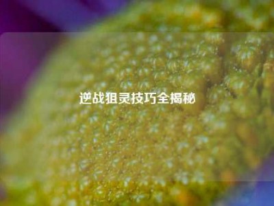 逆战狙灵技巧全揭秘