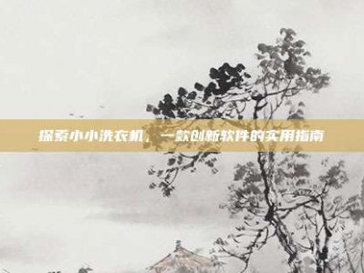 探索小小洗衣机，一款创新软件的实用指南
