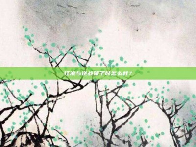 狂浪与逆战架子鼓怎么样？