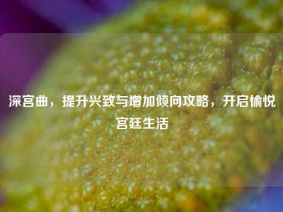 深宫曲，提升兴致与增加倾向攻略，开启愉悦宫廷生活
