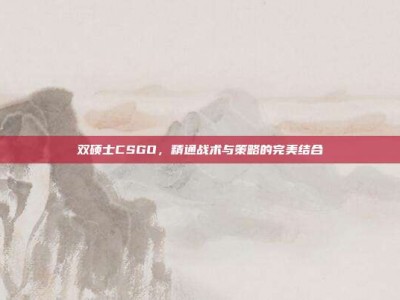 双硕士CSGO，精通战术与策略的完美结合
