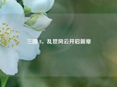三国 8，乱世风云开启新章