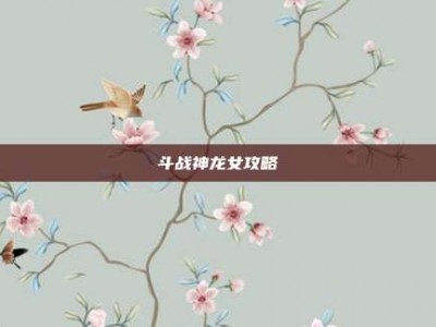 斗战神龙女攻略