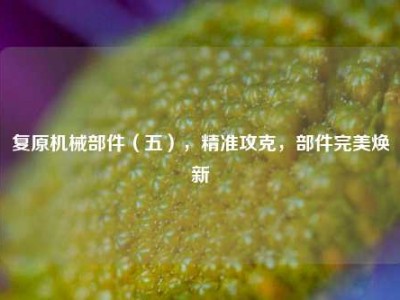 复原机械部件（五），精准攻克，部件完美焕新
