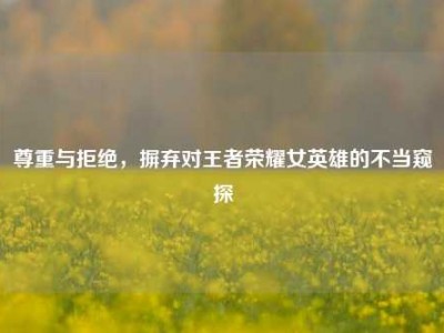 尊重与拒绝，摒弃对王者荣耀女英雄的不当窥探