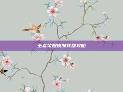 王者荣耀皮肤找回攻略