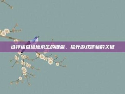 选择适合绝地求生的键盘，提升游戏体验的关键