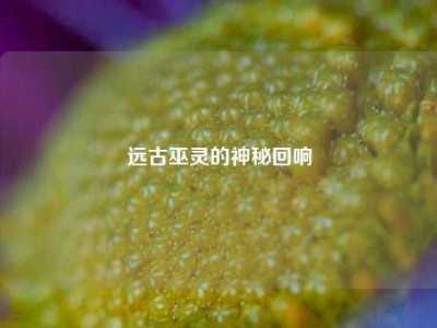 远古巫灵的神秘回响