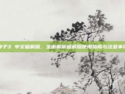 种子3 中文破解版，全面解析破解版使用指南与注意事项