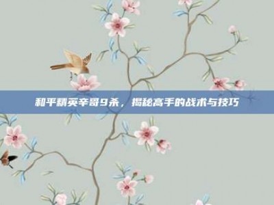 和平精英辛哥9杀，揭秘高手的战术与技巧