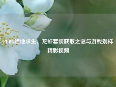 PUBG绝地求生，龙虾套装获取之谜与游戏别样精彩视频