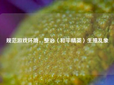 规范游戏环境，整治〈和平精英〉生殖乱象