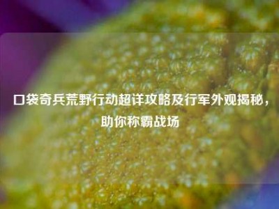 口袋奇兵荒野行动超详攻略及行军外观揭秘，助你称霸战场