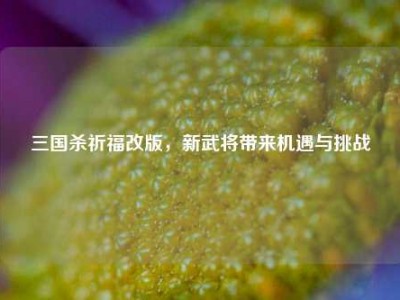 三国杀祈福改版，新武将带来机遇与挑战