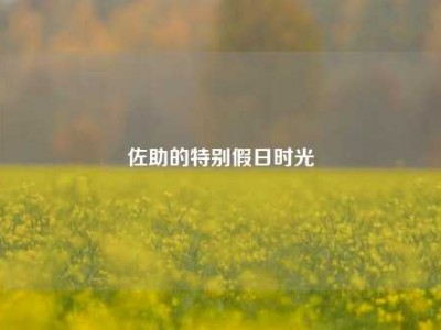 佐助的特别假日时光