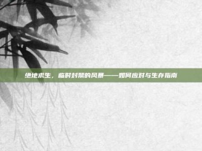 绝地求生，临时封禁的风暴——如何应对与生存指南