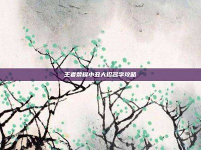 王者荣耀小丑大招名字攻略