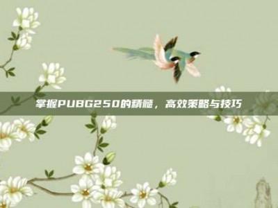 掌握PUBG250的精髓，高效策略与技巧