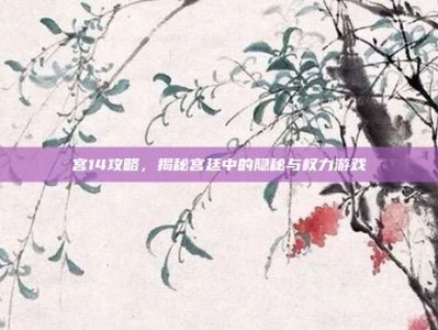 宫14攻略，揭秘宫廷中的隐秘与权力游戏