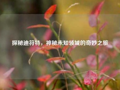 探秘迪符特，神秘未知领域的奇妙之旅