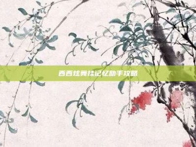西西炫舞挂记忆助手攻略