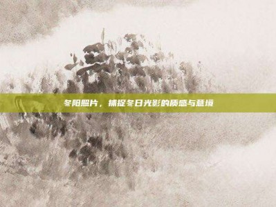 冬阳照片，捕捉冬日光影的质感与意境