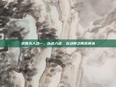 武僧天人合一，以武入道，在动静之间求真境