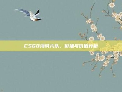 CSGO海豹六队，价格与价值分析