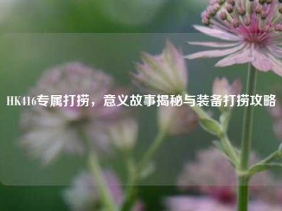 HK416专属打捞，意义故事揭秘与装备打捞攻略