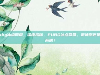 pubg冰点网盘，深度揭秘，PUBG冰点网盘，是神器还是智商税？