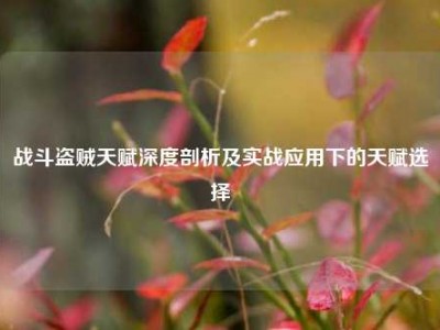 战斗盗贼天赋深度剖析及实战应用下的天赋选择