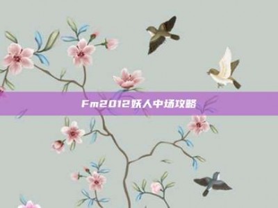 Fm2012妖人中场攻略