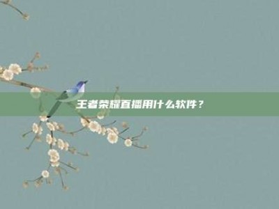 王者荣耀直播用什么软件？