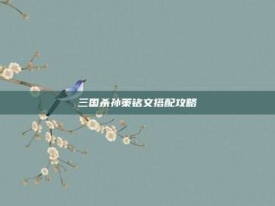 三国杀孙策铭文搭配攻略