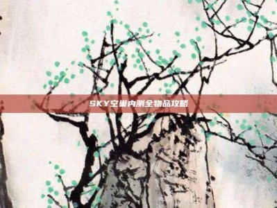 SKY空巢内测全物品攻略