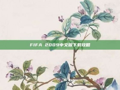 FIFA 2009中文版下载攻略