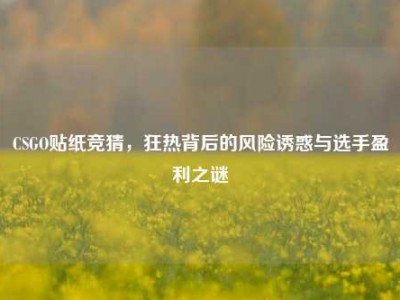 CSGO贴纸竞猜，狂热背后的风险诱惑与选手盈利之谜