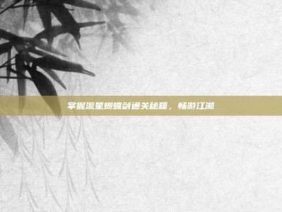 掌握流星蝴蝶剑通关秘籍，畅游江湖