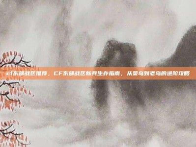 cf东部战区推荐，CF东部战区新兵生存指南，从菜鸟到老鸟的进阶攻略