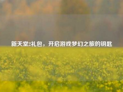 新天堂2礼包，开启游戏梦幻之旅的钥匙