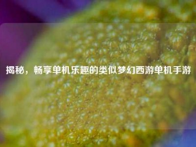 揭秘，畅享单机乐趣的类似梦幻西游单机手游
