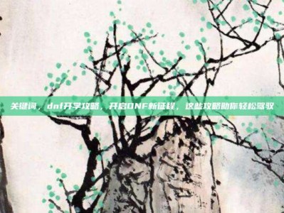 关键词，dnf开学攻略，开启DNF新征程，这些攻略助你轻松驾驭